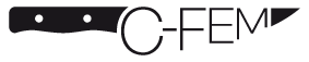 Logo-C-FEM
