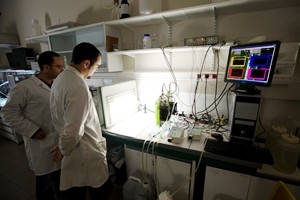 biotechnologie: Recherche sur la production de biocarburants lipidiques par des micro-algues