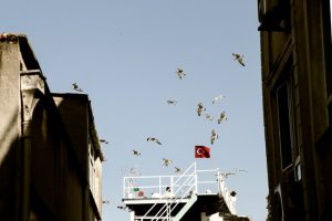 Photo by Şahin Sezer Dinçer