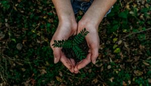 https://unsplash.com/photos/x8ZStukS2PM