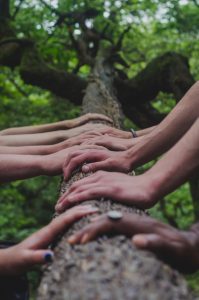 unsplash