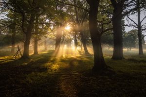 Photo by Simon Wilkes on Unsplash