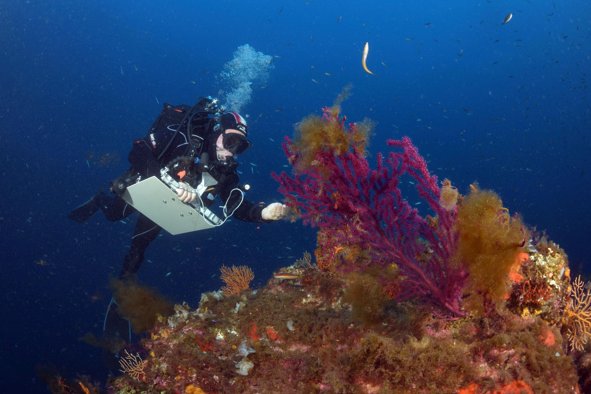 Η Επιτροπή παρουσιάζει την πρωτοβουλία OceanEye για να θέσει την ΕΕ στην πρώτη γραμμή της παρατήρησης των ωκεανών