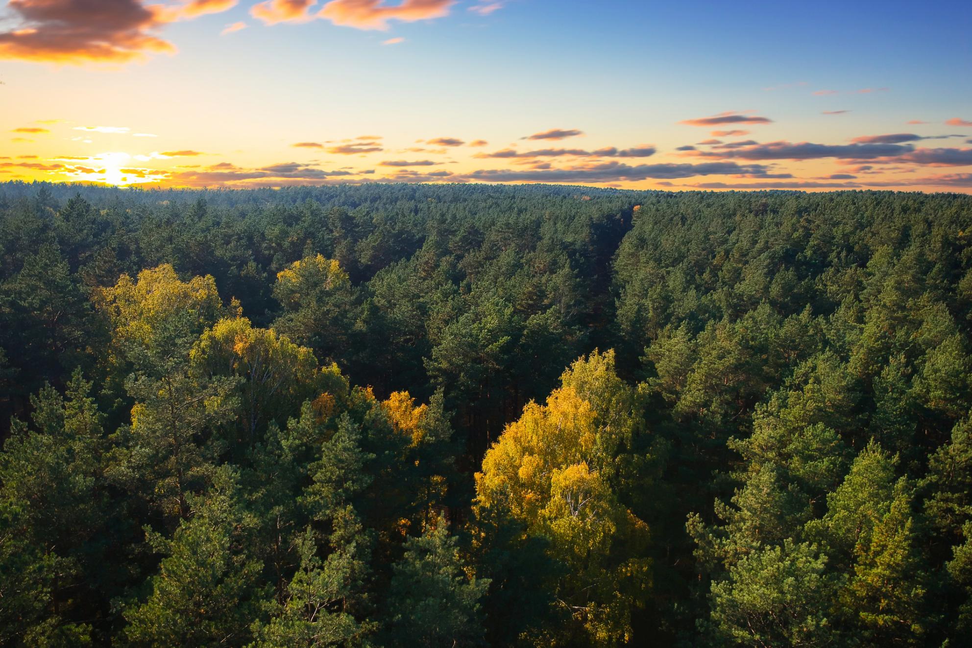 Το δίκτυο Natura 2000 προσφέρει ευκαιρίες για βιώσιμο τουρισμό σε ολόκληρη την Ευρώπη